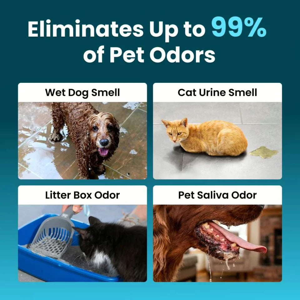 Scentinel™ — Advanced Pet Odor Control Technology