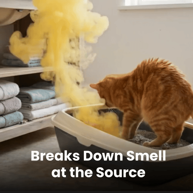 Scentinel - Eliminate Pet Smells In Under 24 Hours & Stop Them From Coming Back